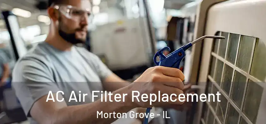  AC Air Filter Replacement Morton Grove - IL