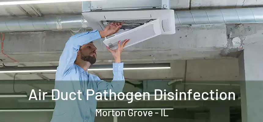  Air Duct Pathogen Disinfection Morton Grove - IL
