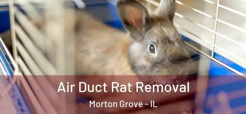  Air Duct Rat Removal Morton Grove - IL