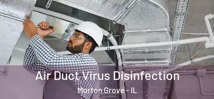  Air Duct Virus Disinfection Morton Grove - IL