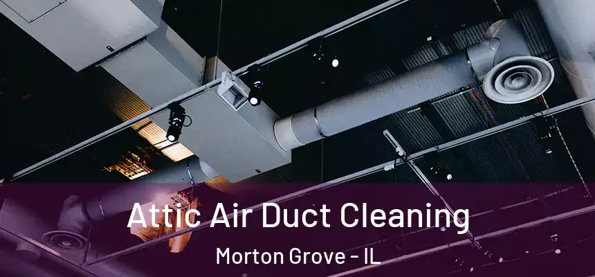  Attic Air Duct Cleaning Morton Grove - IL