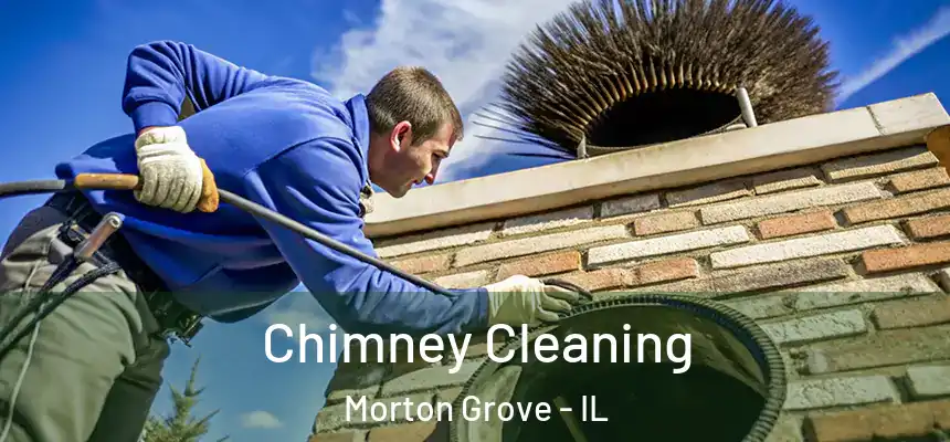  Chimney Cleaning Morton Grove - IL