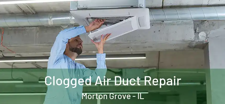  Clogged Air Duct Repair Morton Grove - IL