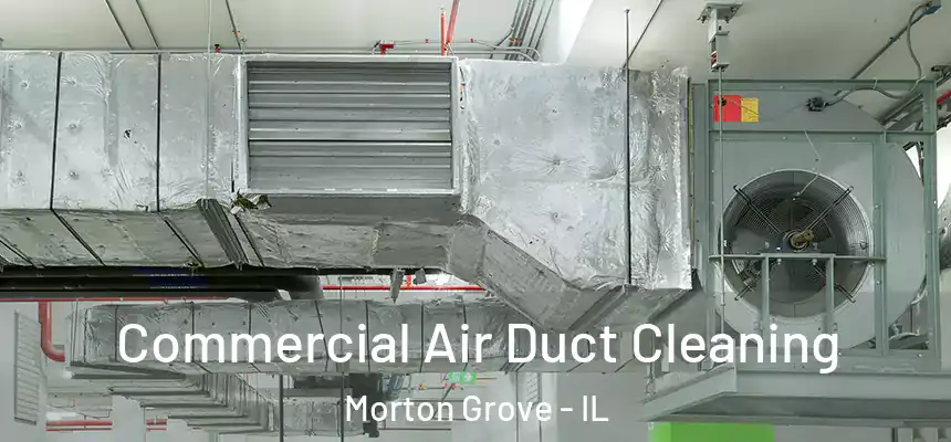  Commercial Air Duct Cleaning Morton Grove - IL