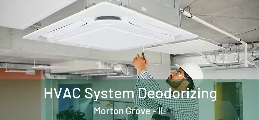  HVAC System Deodorizing Morton Grove - IL