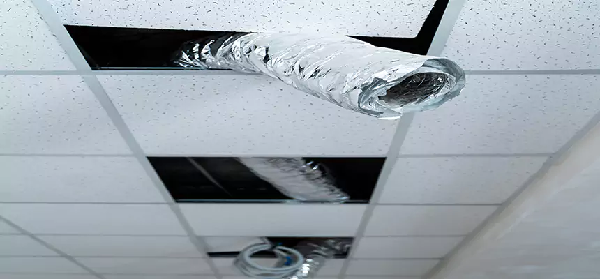 Our Air Duct Pet Hair Removal Services in Morton Grove, IL