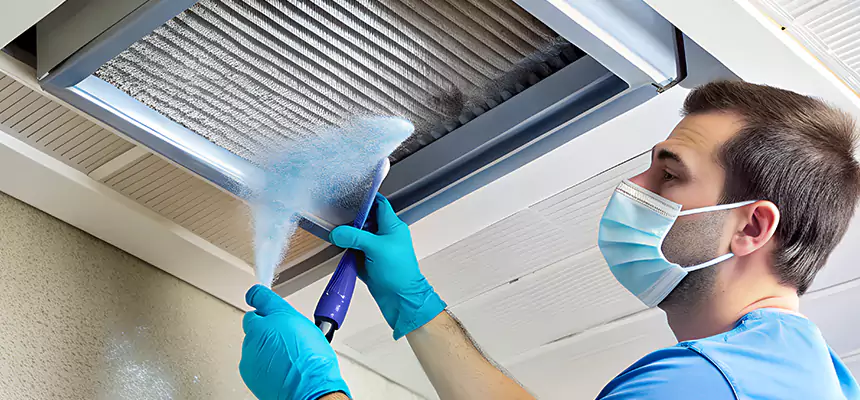Proactive Dryer Vent & Auxiliary Duct Pollen Cleanup in Morton Grove, IL