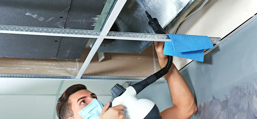 Our Air Duct Rodent Removal Services in Morton Grove, IL