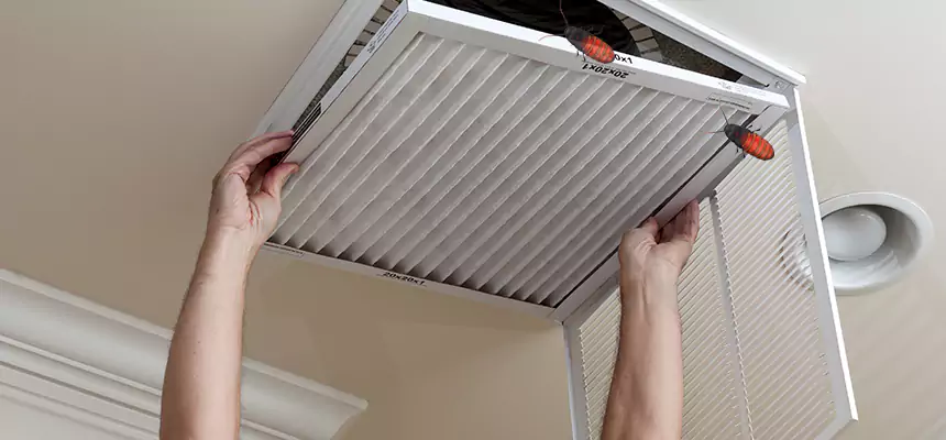 Our Insect Removal from Air Ducts Services in Morton Grove, IL