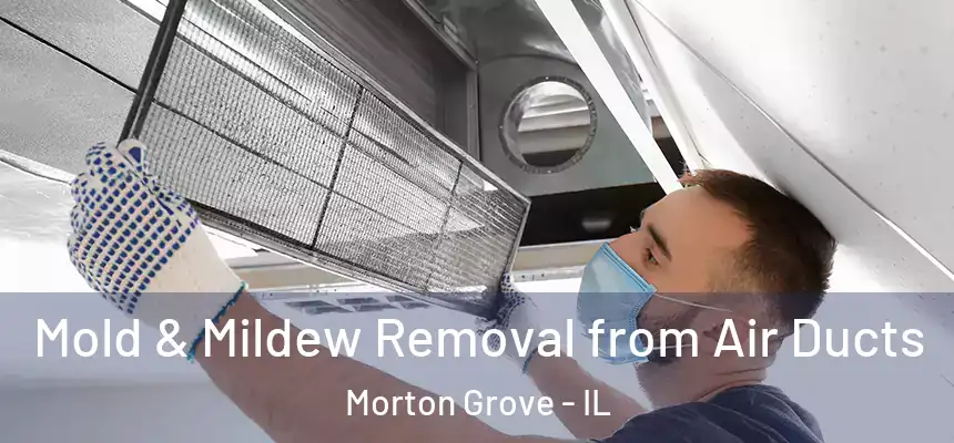  Mold & Mildew Removal from Air Ducts Morton Grove - IL