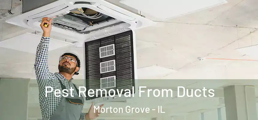  Pest Removal From Ducts Morton Grove - IL