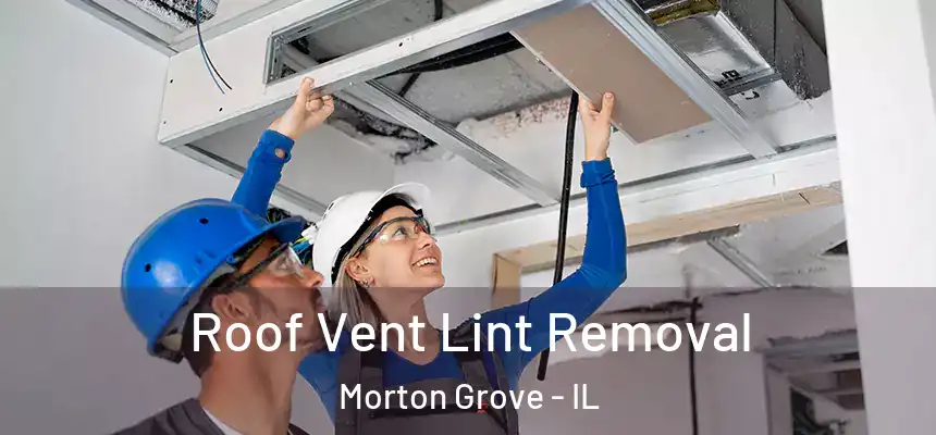  Roof Vent Lint Removal Morton Grove - IL