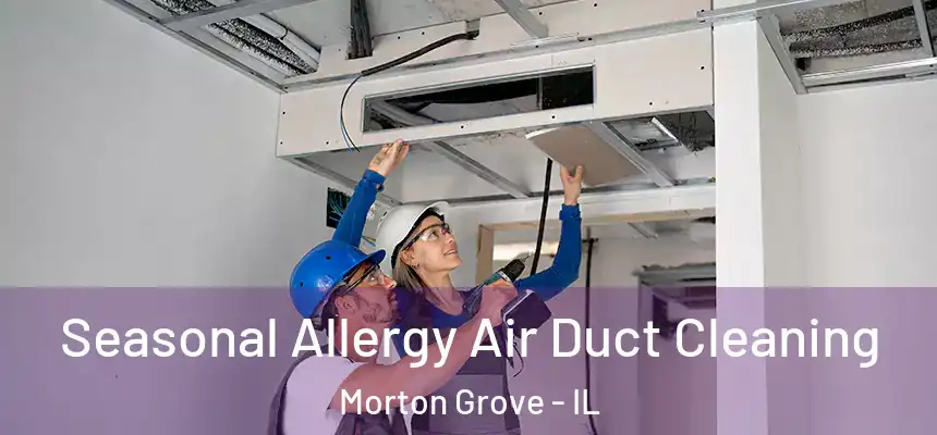  Seasonal Allergy Air Duct Cleaning Morton Grove - IL