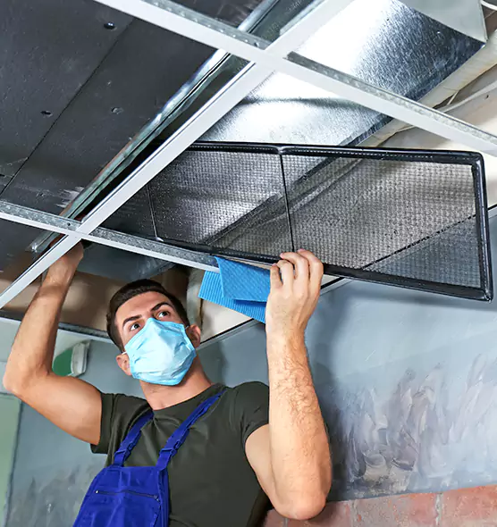 About Air Duct Bacteria Removal in Morton Grove