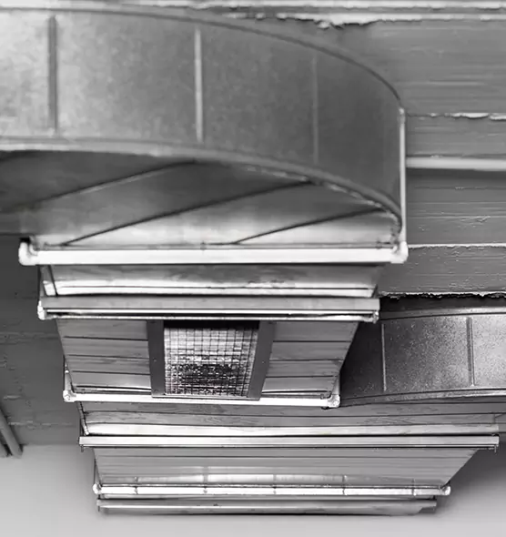 Professional Air Duct Pest Removal in Morton Grove, IL