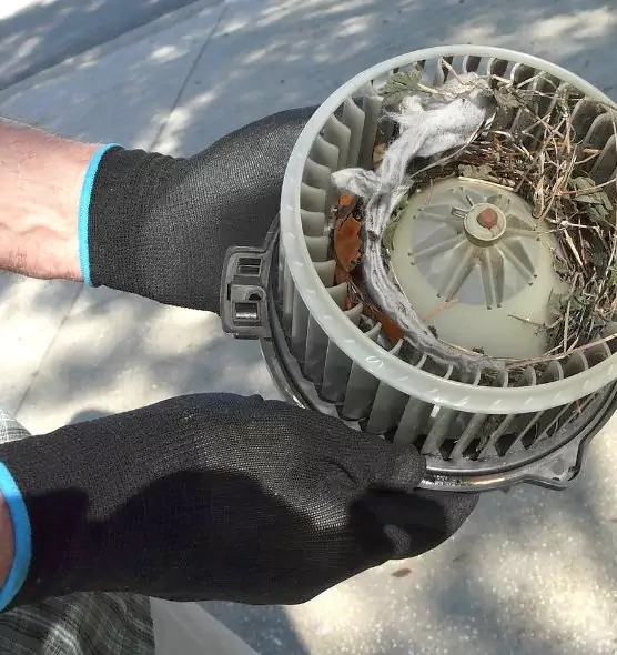 About Air Duct Rat Removal in Morton Grove, IL