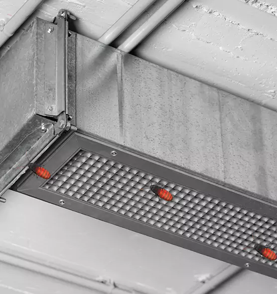 Affordable Insect Removal from Air Ducts in Morton Grove, IL