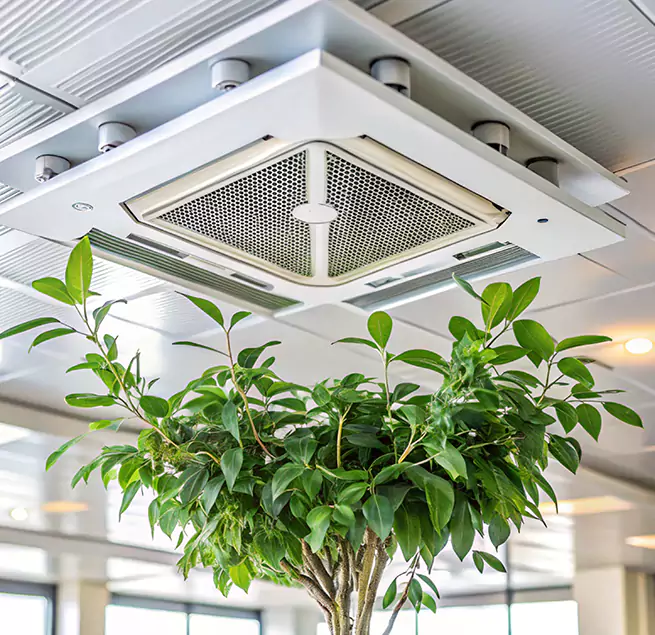 Why Homeowners & Businesses Trust Us in Morton Grove, IL?